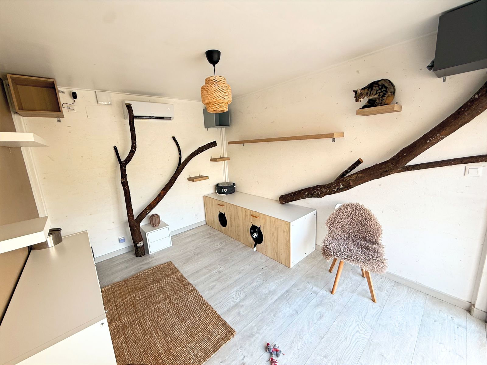 Une chambre partagée, avec ses branches et ses niches en hauteur