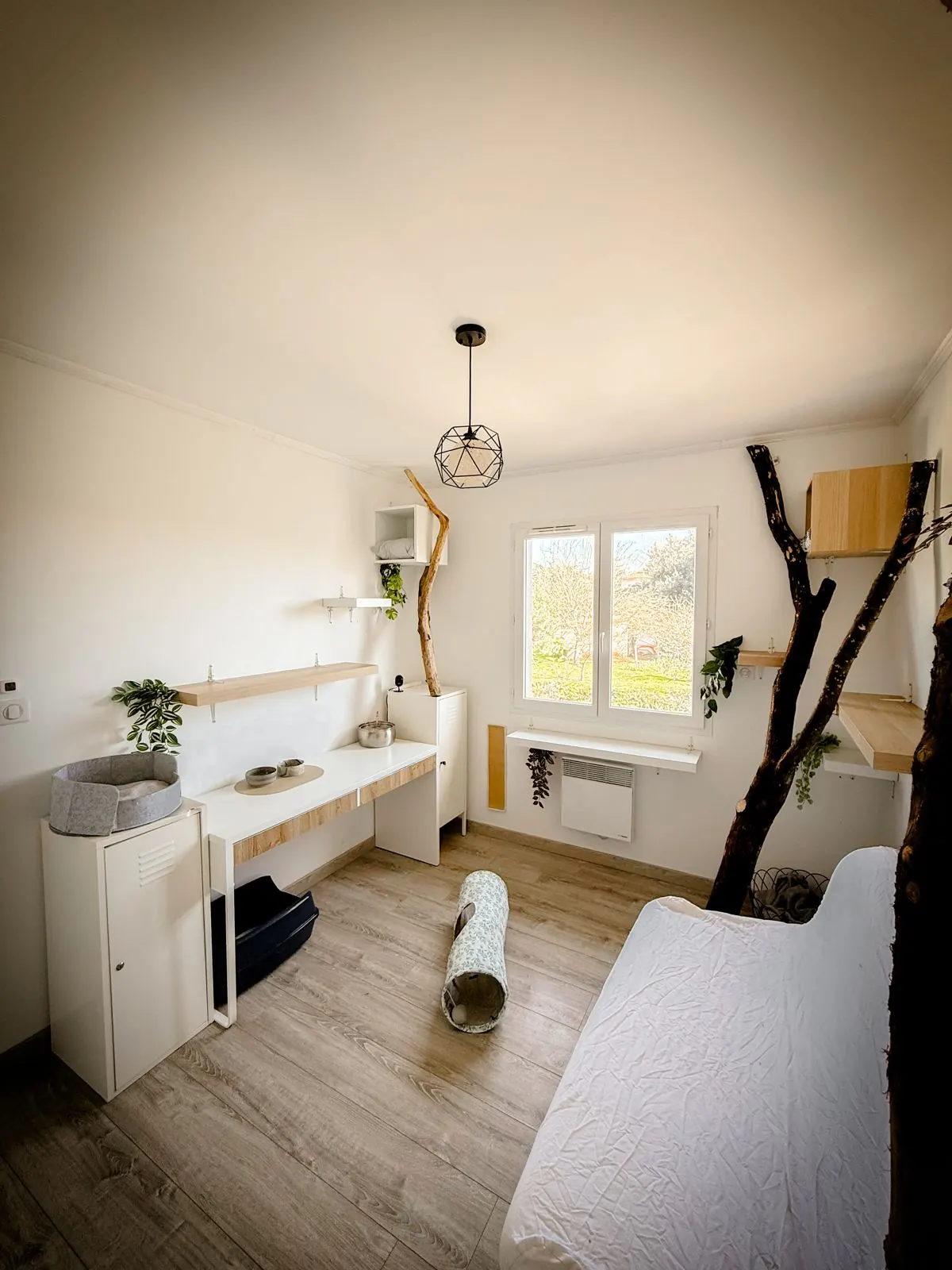 Une chambre individuelle, avec canapé et arbre à chat